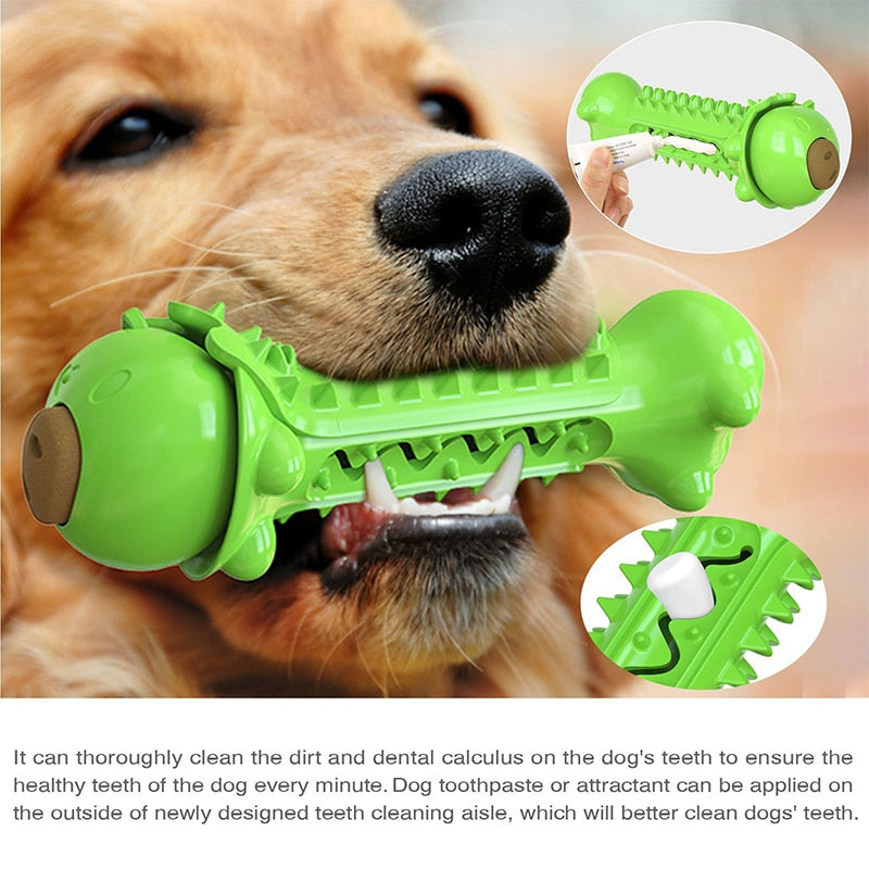 Floatable Snack Dispensing Dog Toys