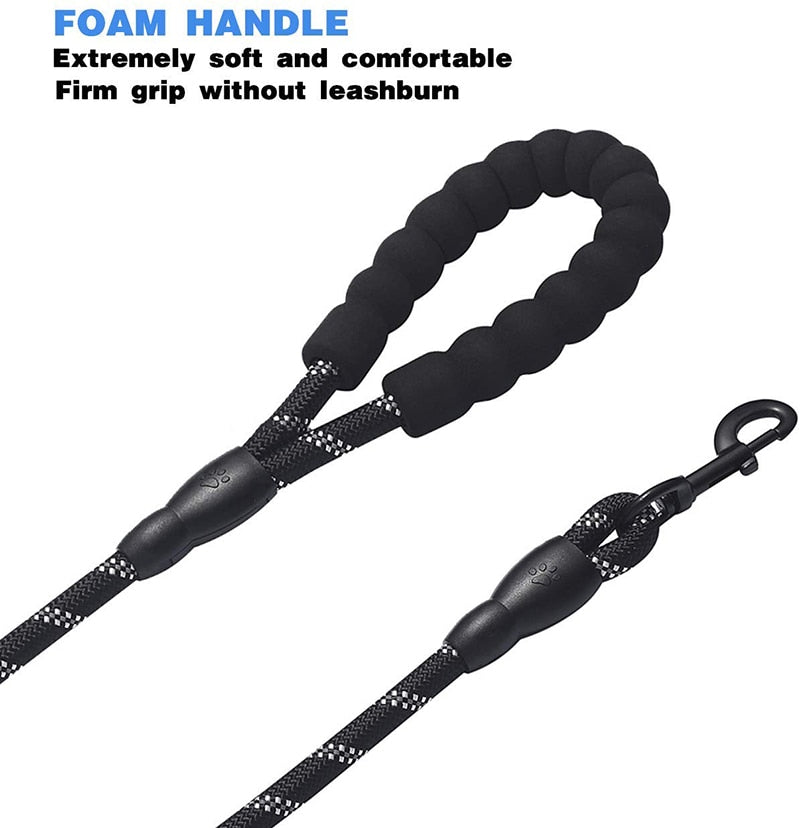 360 Swivel No Tangle Double Dog Leash