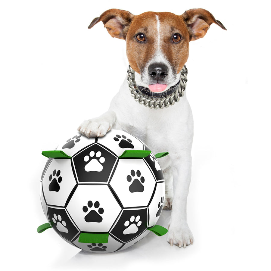 Interactive 6.5in Dog Soccer Toy Ball