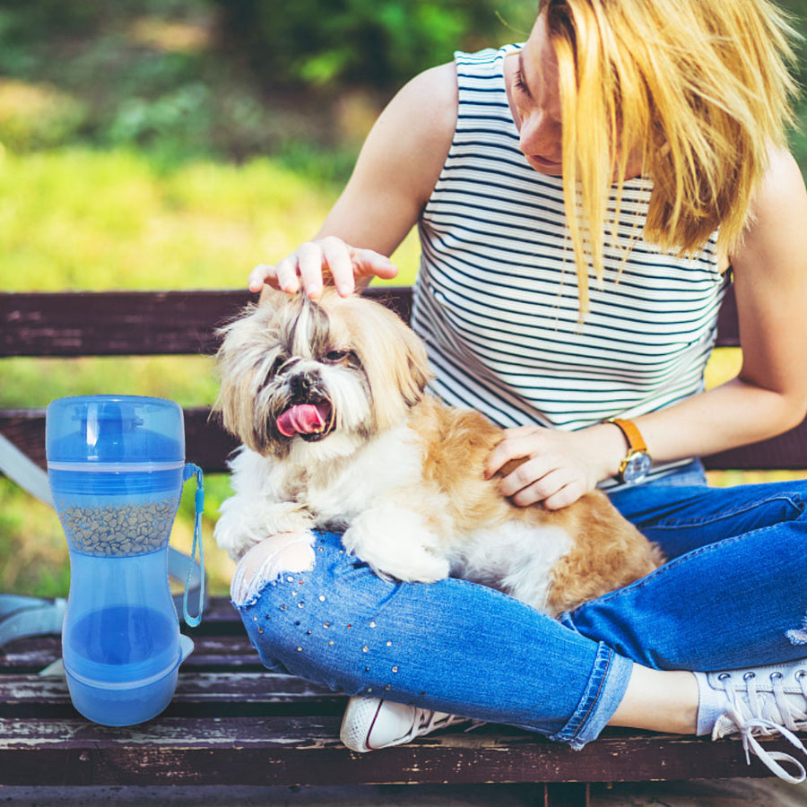 2 in 1 Pet Water Bowl