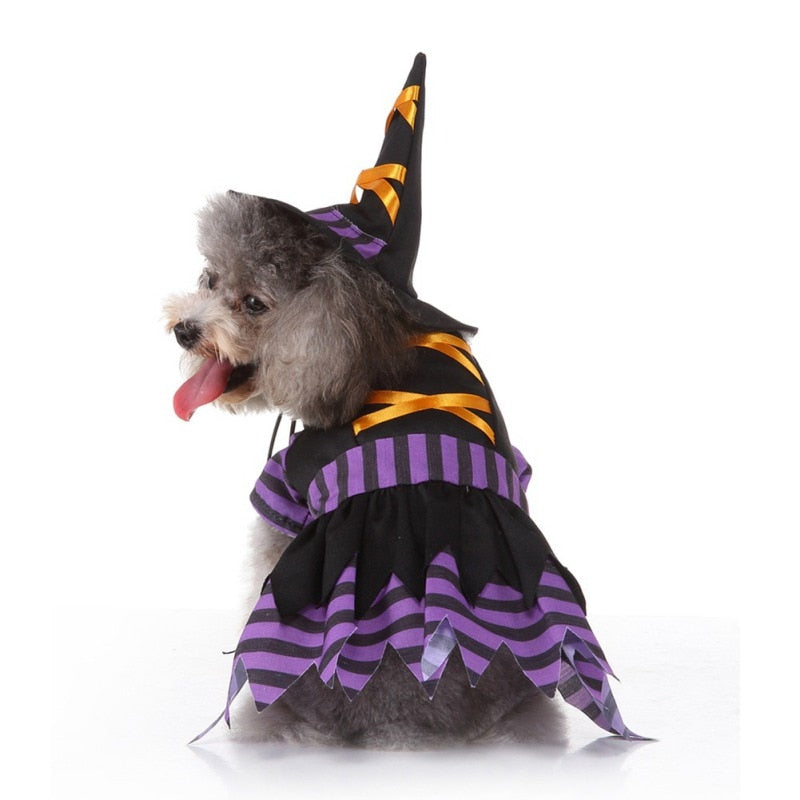 Halloween Funny Wizard Dog Costumes