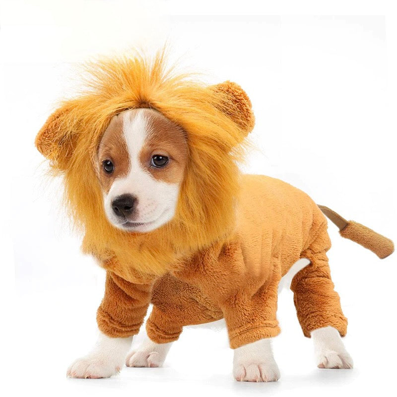 Halloween Party Cozy Lion Dog Cosplay