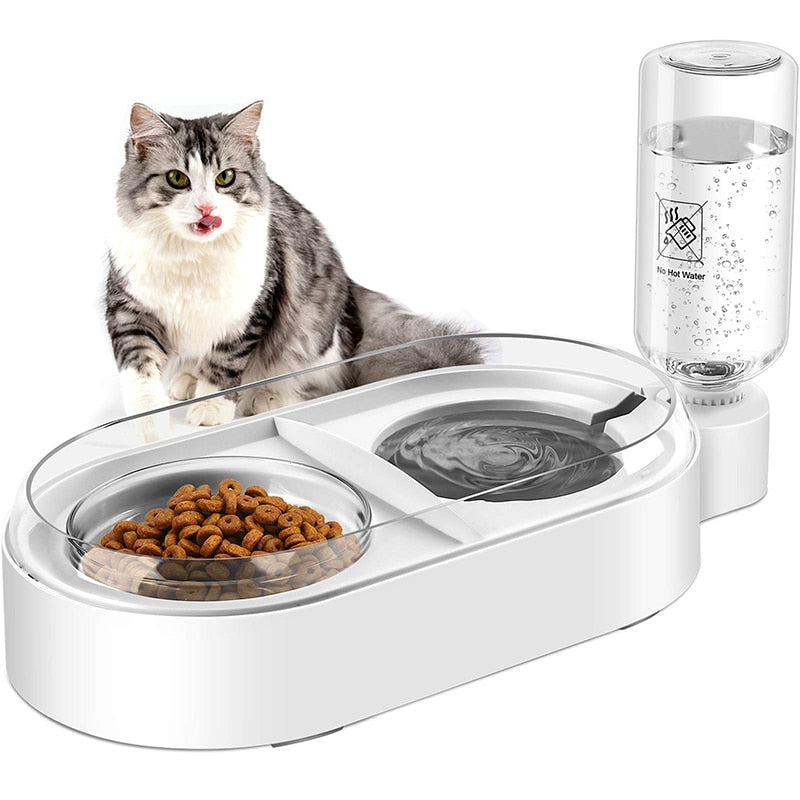 Oval Body 2 In 1 Dog Feeder