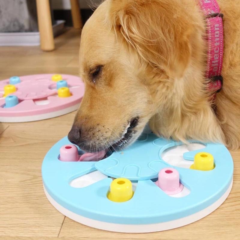 IQ Training Dog Puzzle Toys