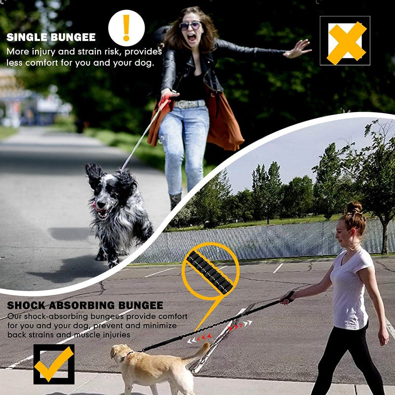 Advance Shock Absorbing Dog Leash