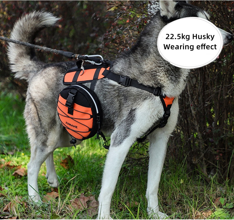 Double Slider Dog Tactical Harness