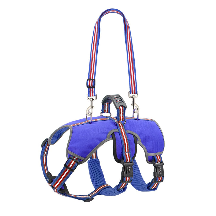 Blue Nylon Large Dog Harness