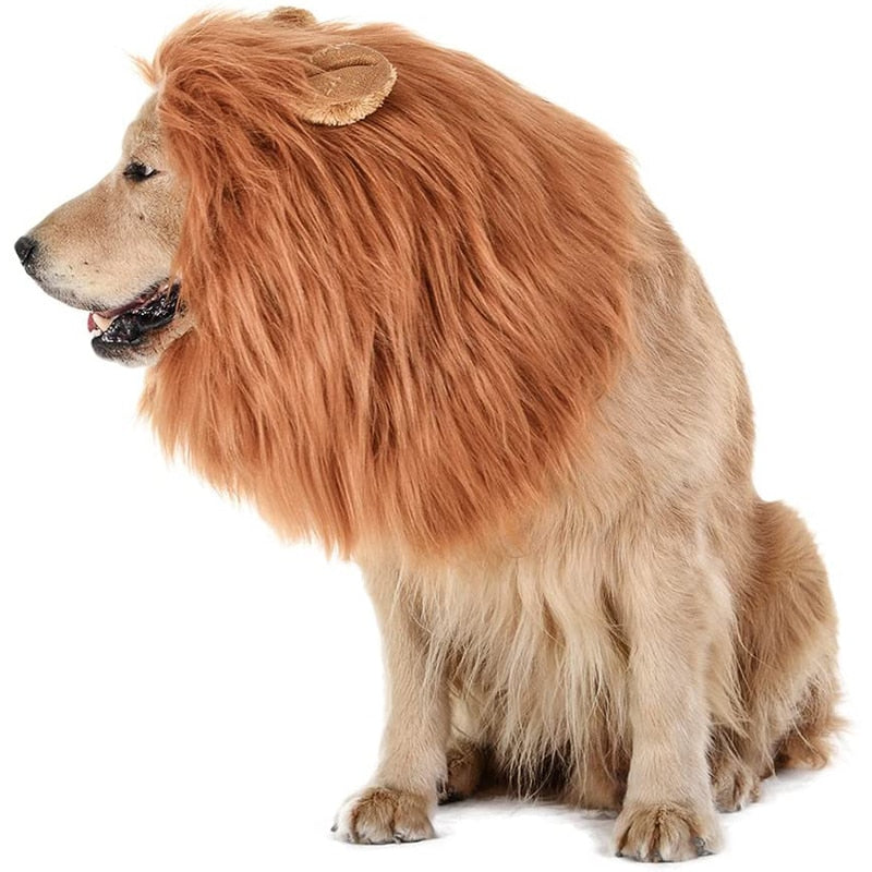 Halloween Dog Lion Costume