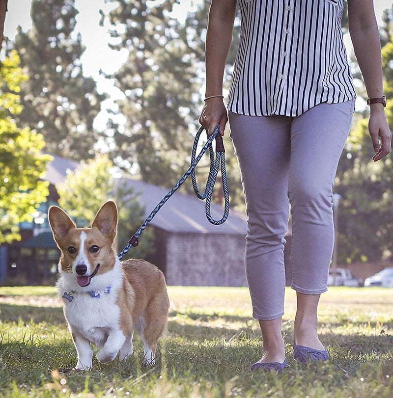 Heavy Duty Mountain Climbing Dog Rope