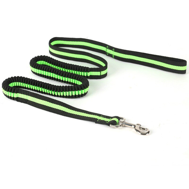 High Elastic Bungee Dog Leash