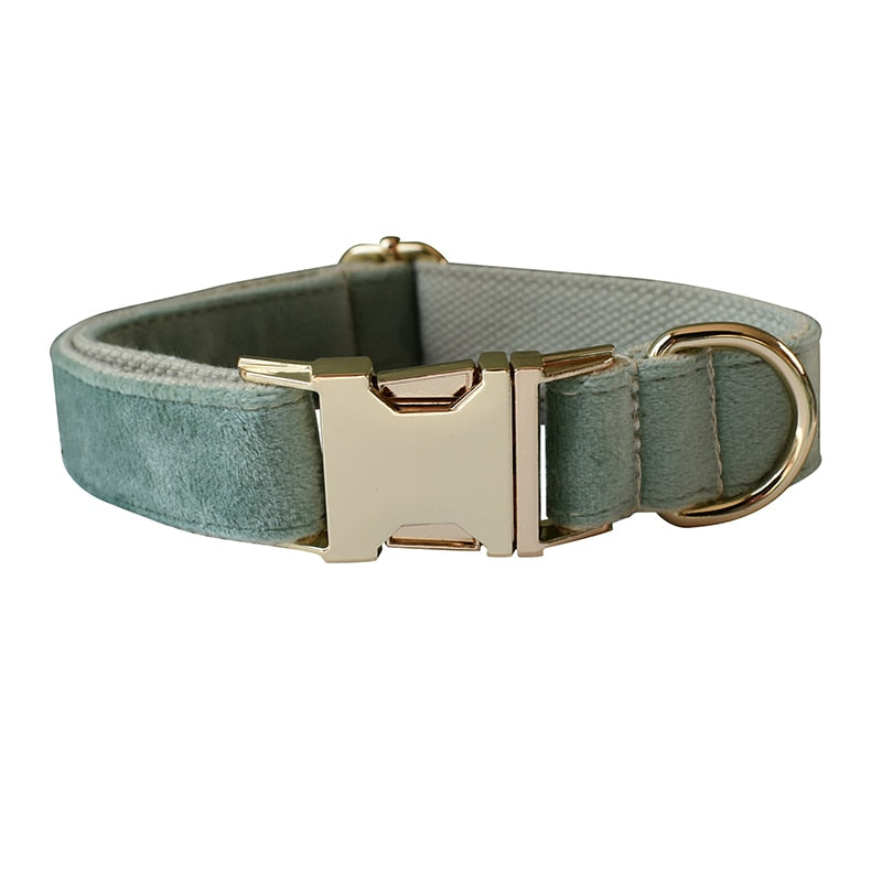 Luxury Green Velvet Dog Collar Set