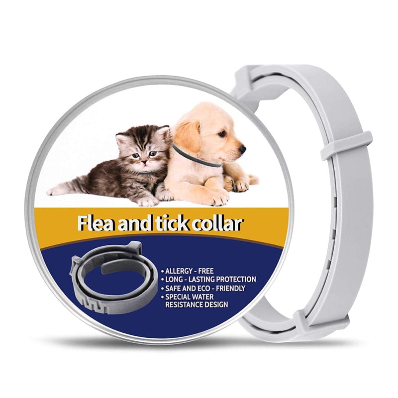 Pet Flea 8 Months Protection Collar