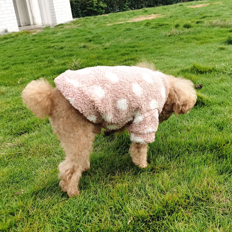 Pink Polka Winter Dog Clothes