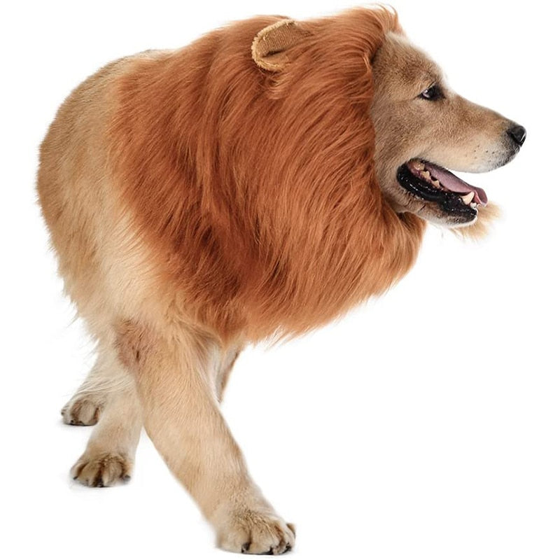 Halloween Dog Lion Costume