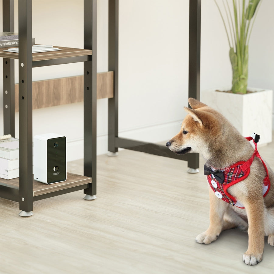 WiFi Remote Dog Camera Treat Dispenser