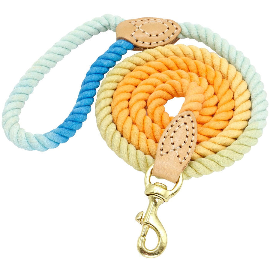 5ft Durable Nylon Dog Leash