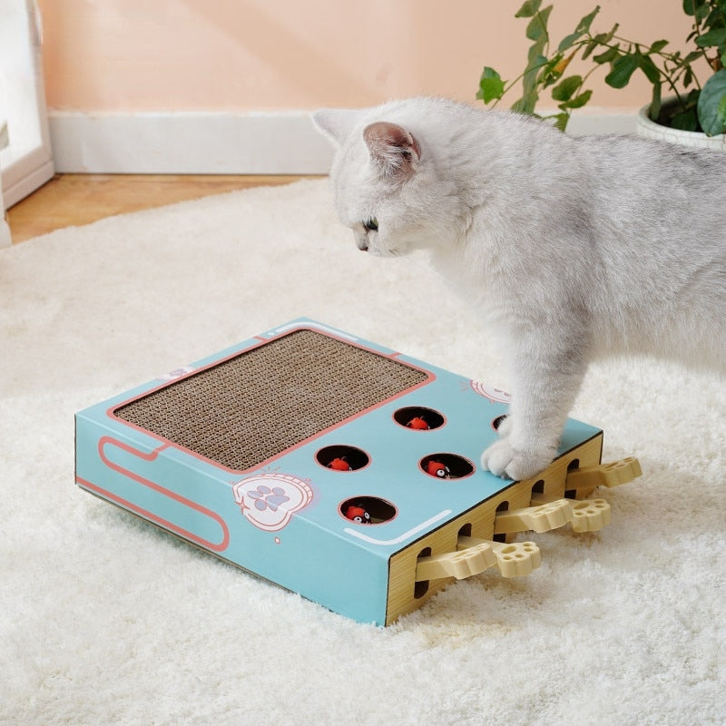 3 in 1 Cat Game Box