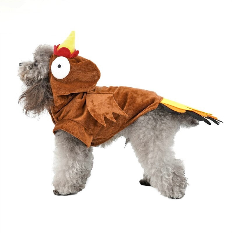 Funny Turkey Dog Costumes