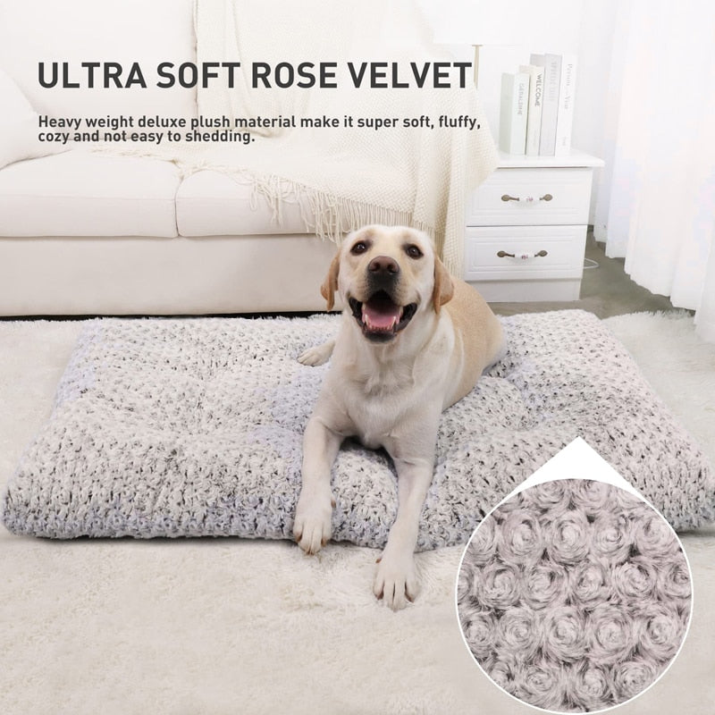 Ultra Soft Rose Velvet Dog Beds