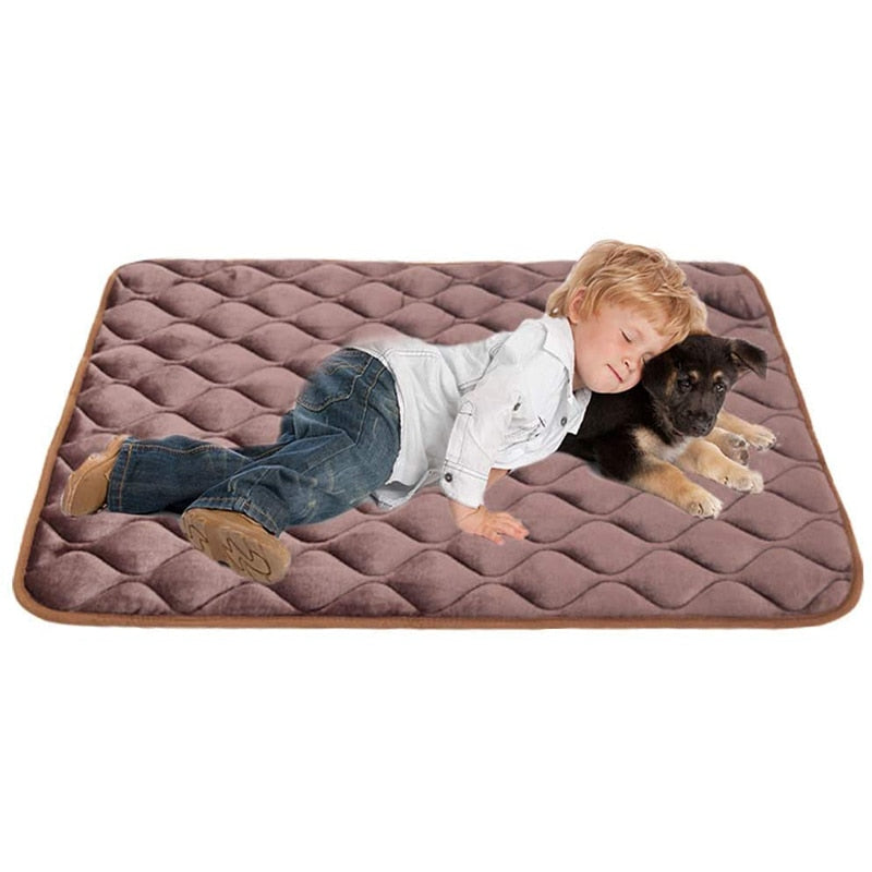 Anti Slip Bottom Dog Mat