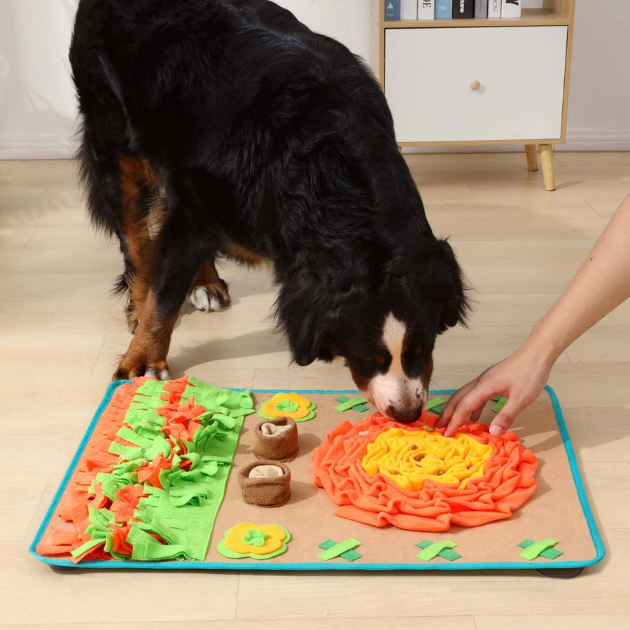 Slow Eating Dog Enrichment Snuffle Mat