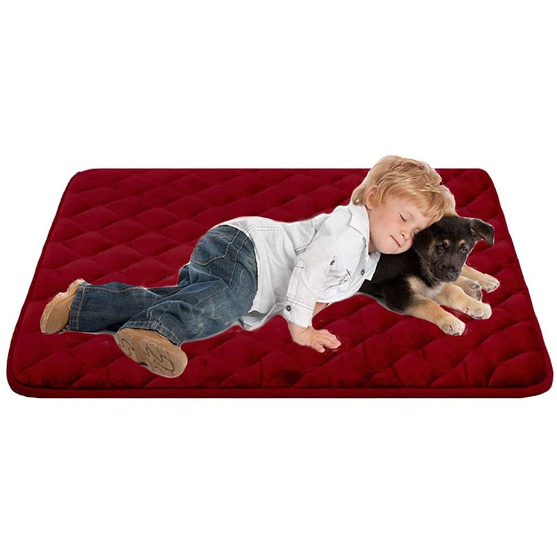 Anti Slip Bottom Dog Mat