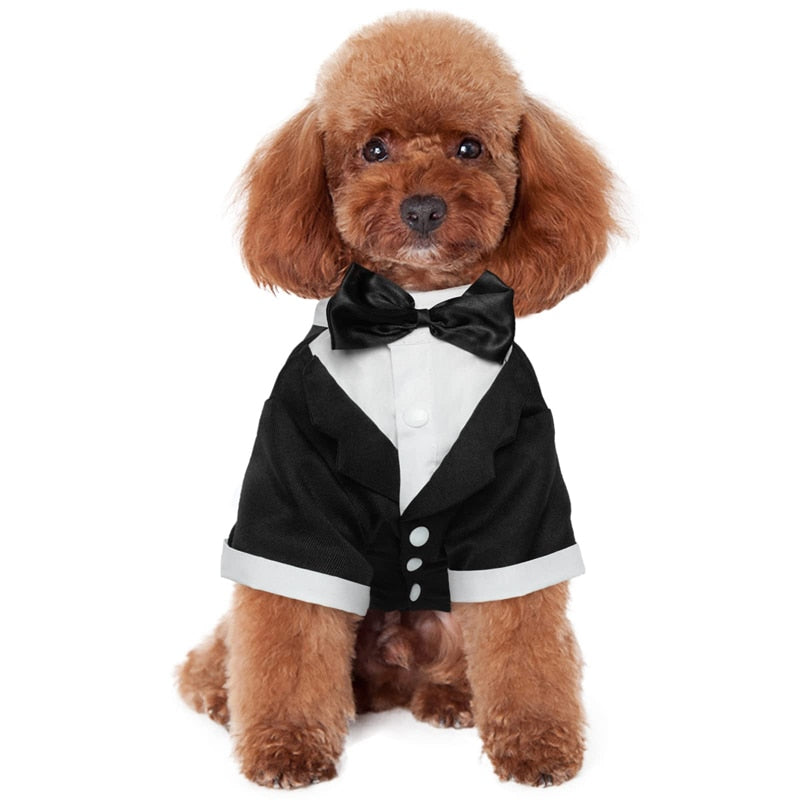 Formal Tuxedo Black Tie Dog Shirt