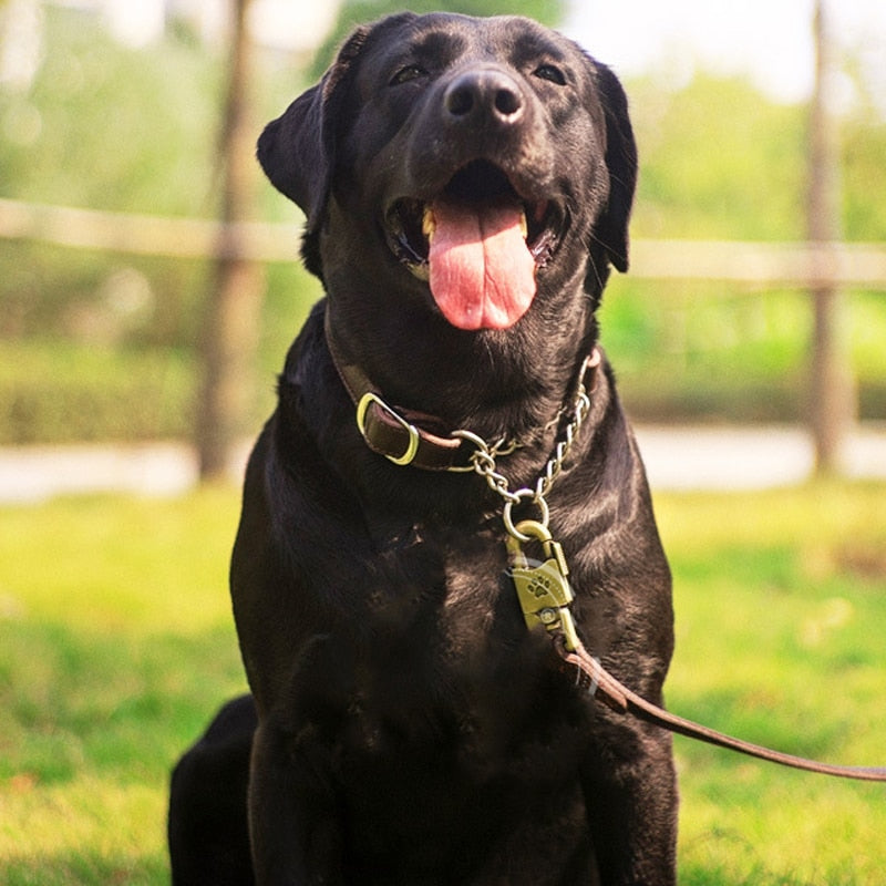 Martingale Leather Dog Collar