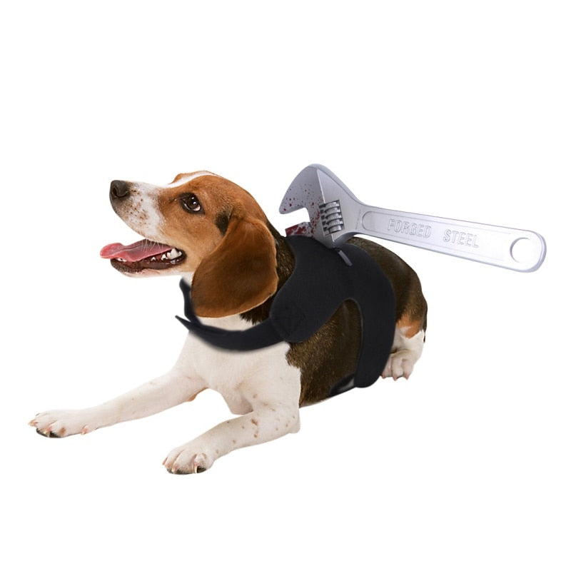 Creative Funny Pets Party Costumes