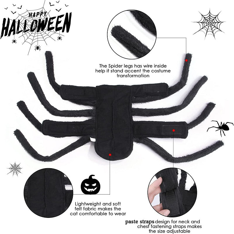 Halloween Spider Dogs Costume