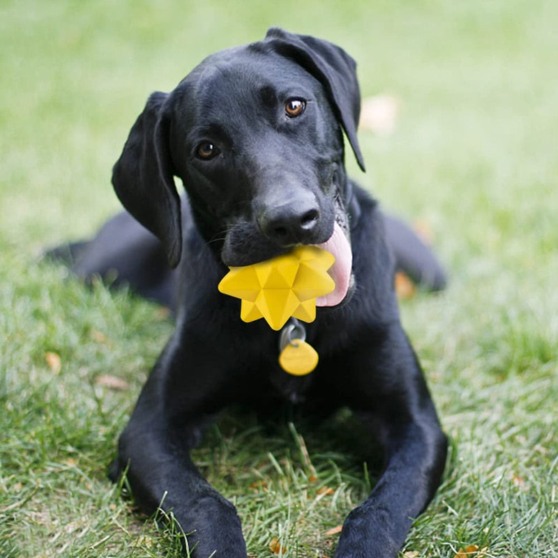 Indestructible Pine Shape Dog Toy