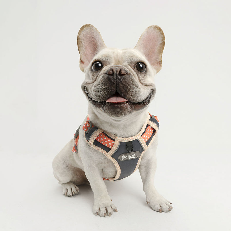 No Pull Reflective Dog Harness