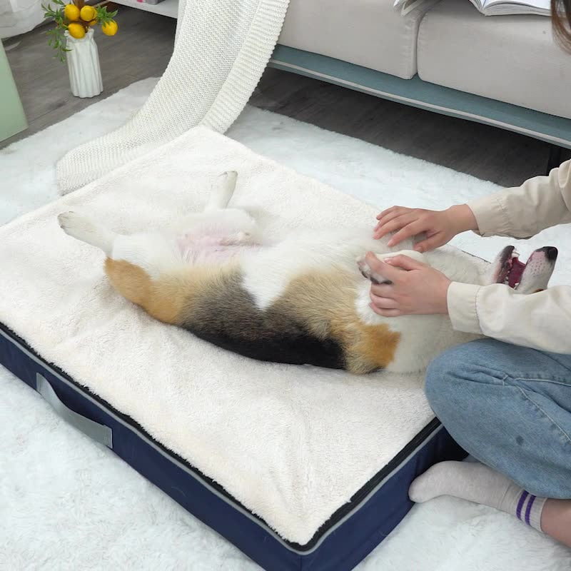 Memory Foam Orthopedic Dog Beds