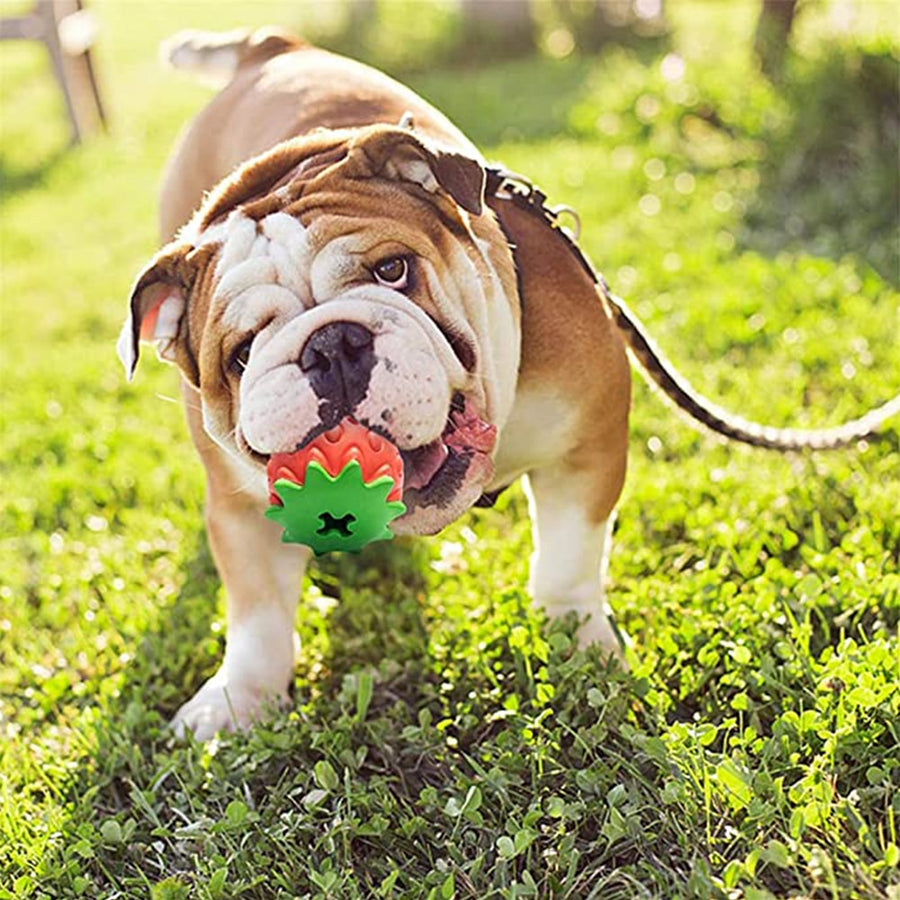 Strawberry Dog Chew Toys