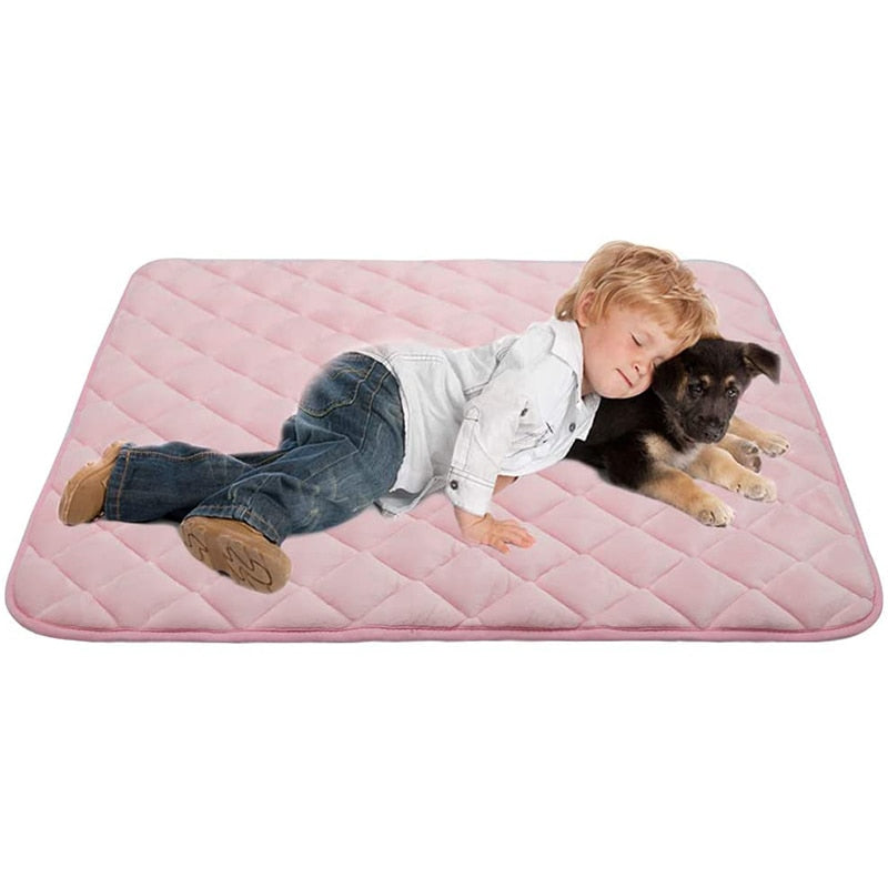 Anti Slip Bottom Dog Mat