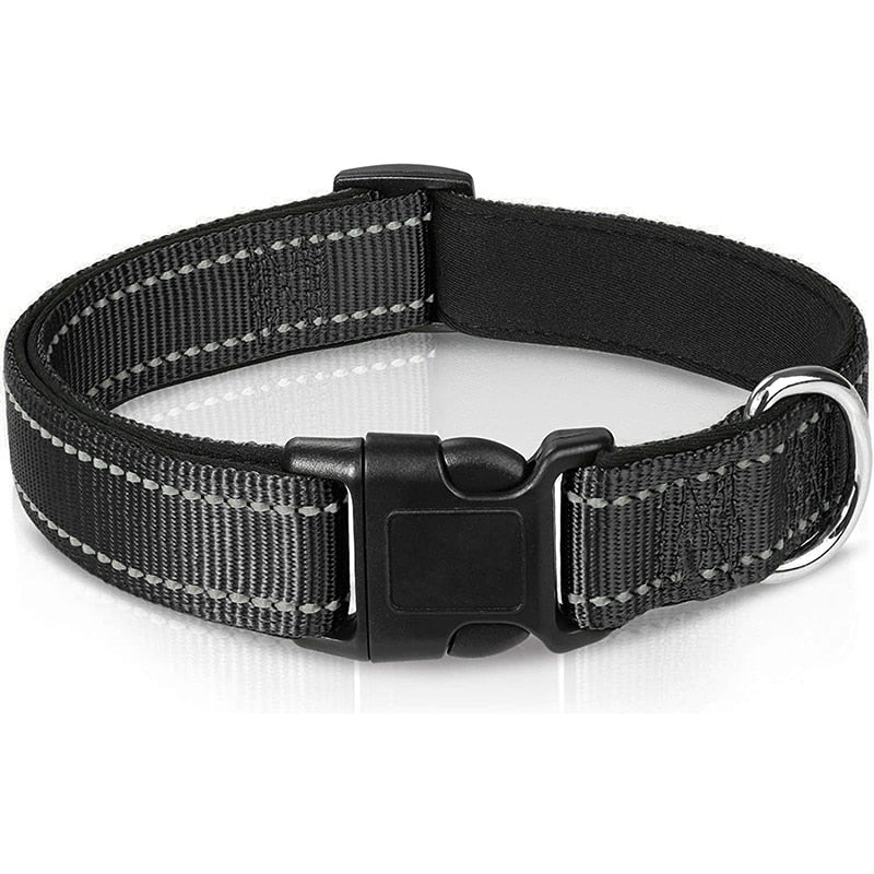 Comfortable Padded Neoprene Dog Collar