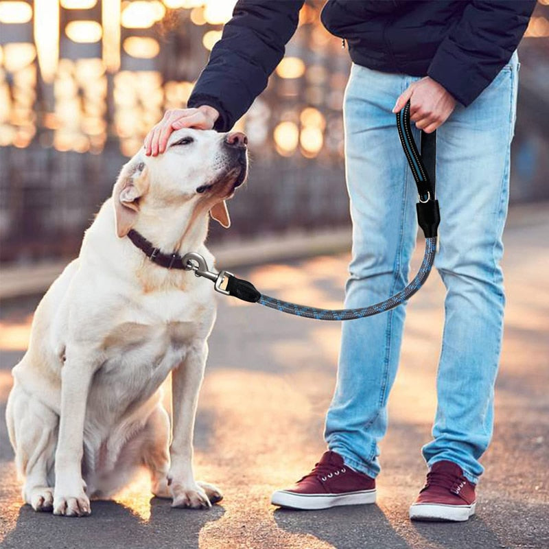 Heavy Duty Short Dog Leash