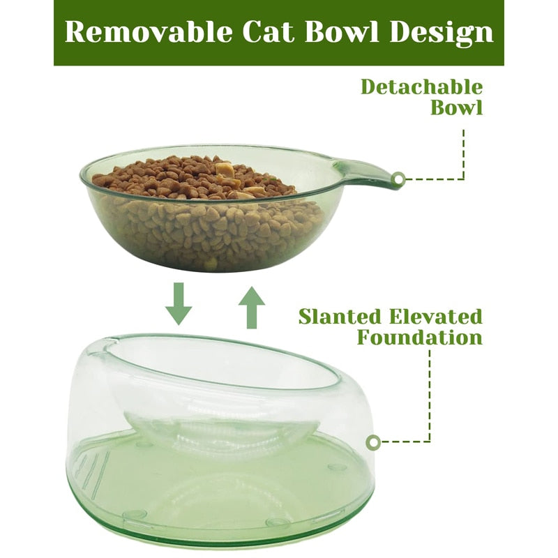 Transparent Design Tilted Pet Bowl