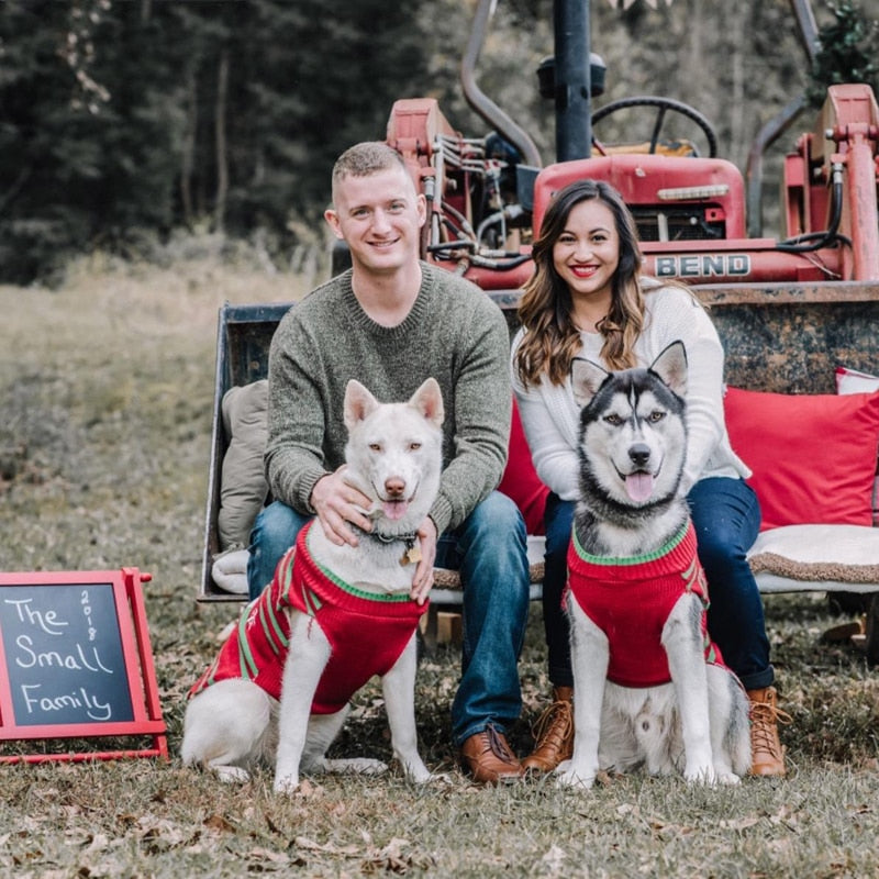 Christmas Snowman Dog Sweater