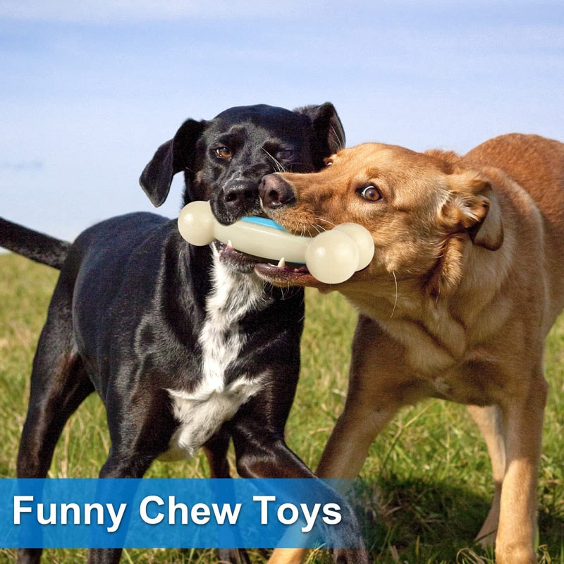 Durable Beef Flavor Pet Chew Toys