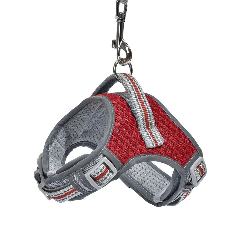 No Pull Air Mesh Dog Harness & Leash Set