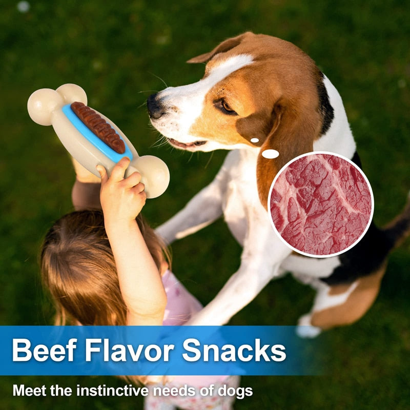 Durable Beef Flavor Pet Chew Toys