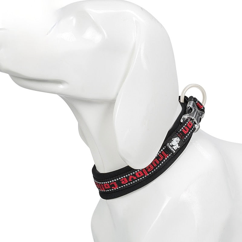 Reflective Sturdy Duraflex Buckle Dog Collar