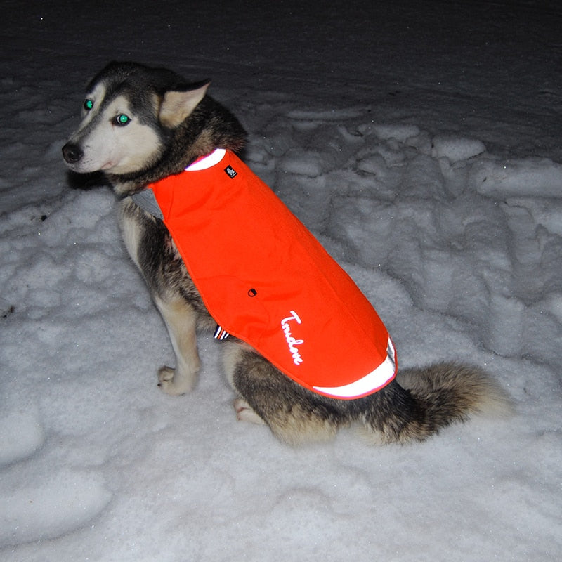 Reflective Waterproof Winter Dog Harness