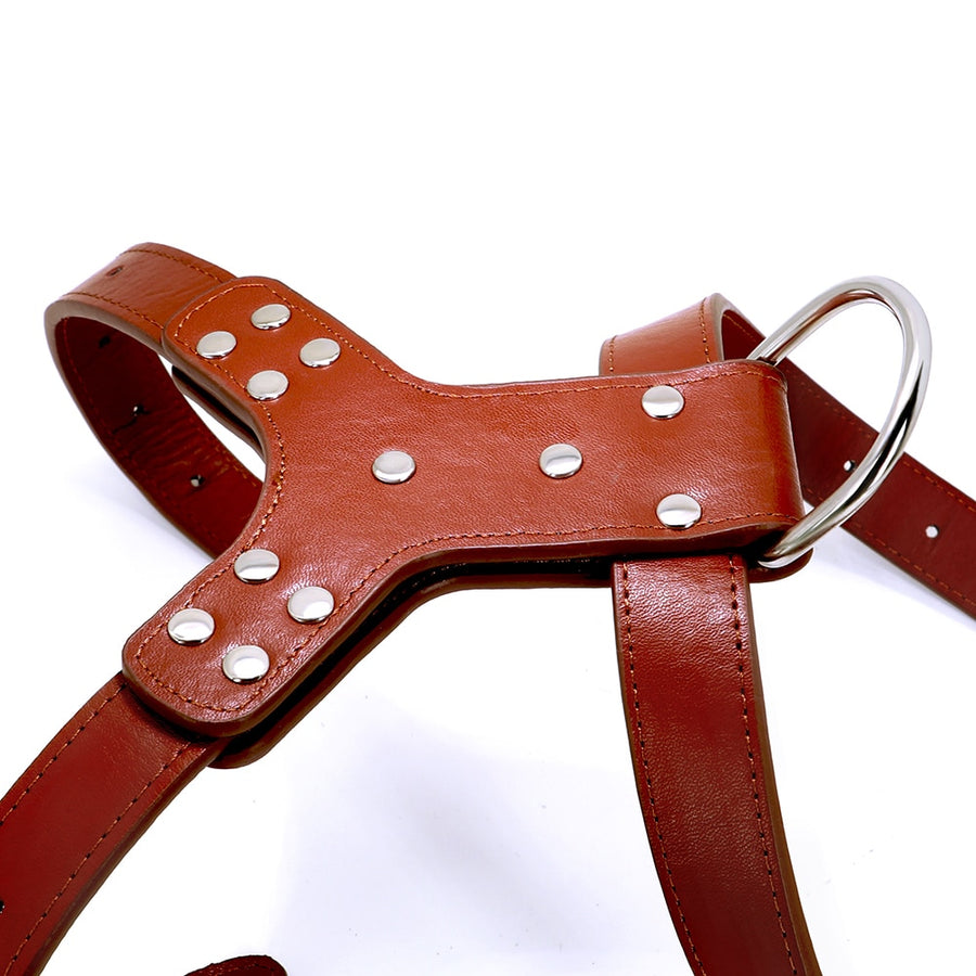 Genuine Leather Bowknot Dog Harness