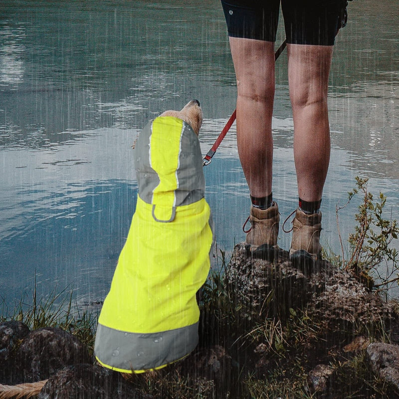 Reflective Hooded Dog Raincoat