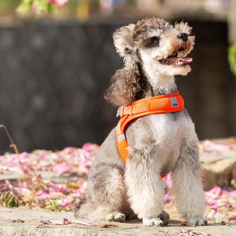 Reflective Nylon Padding Dog Harness