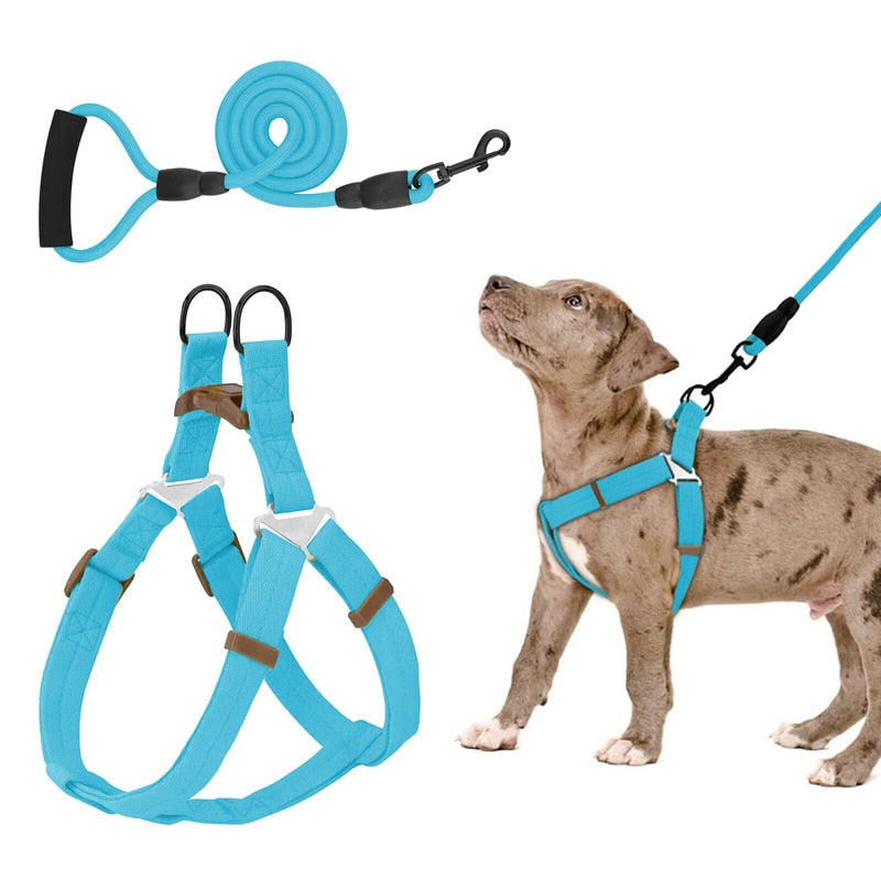 No Pull Dog Halter Harness Leash Set