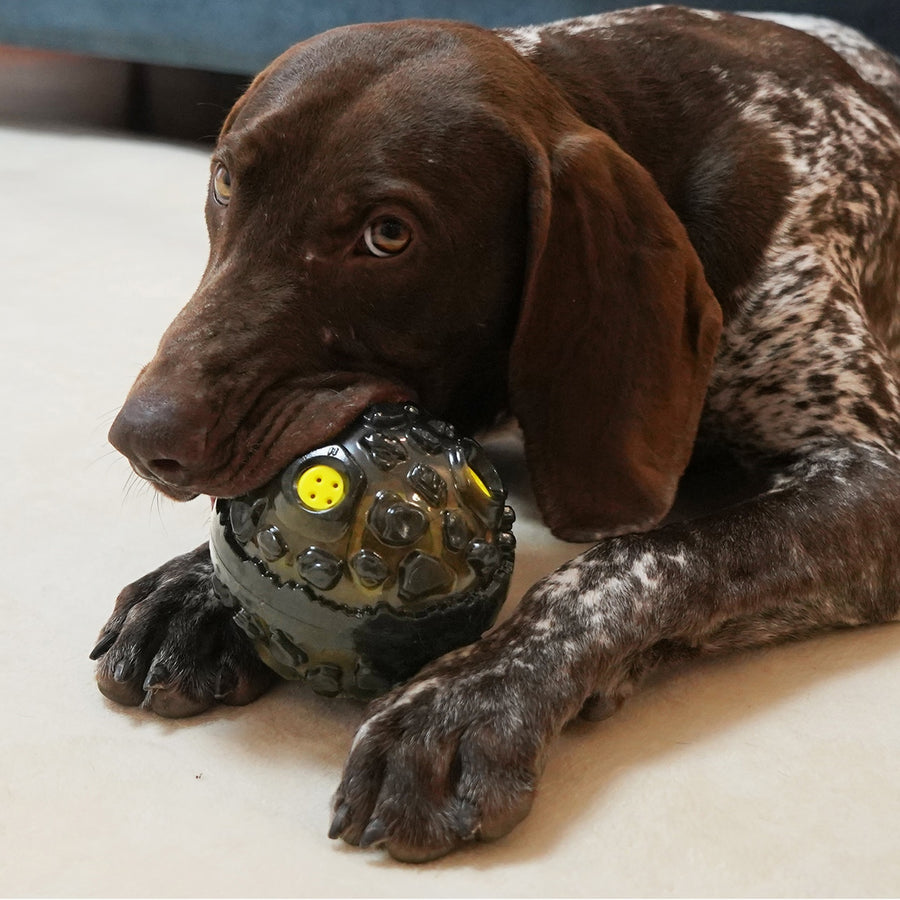 Near Indestructible Meteorite Dog Toy