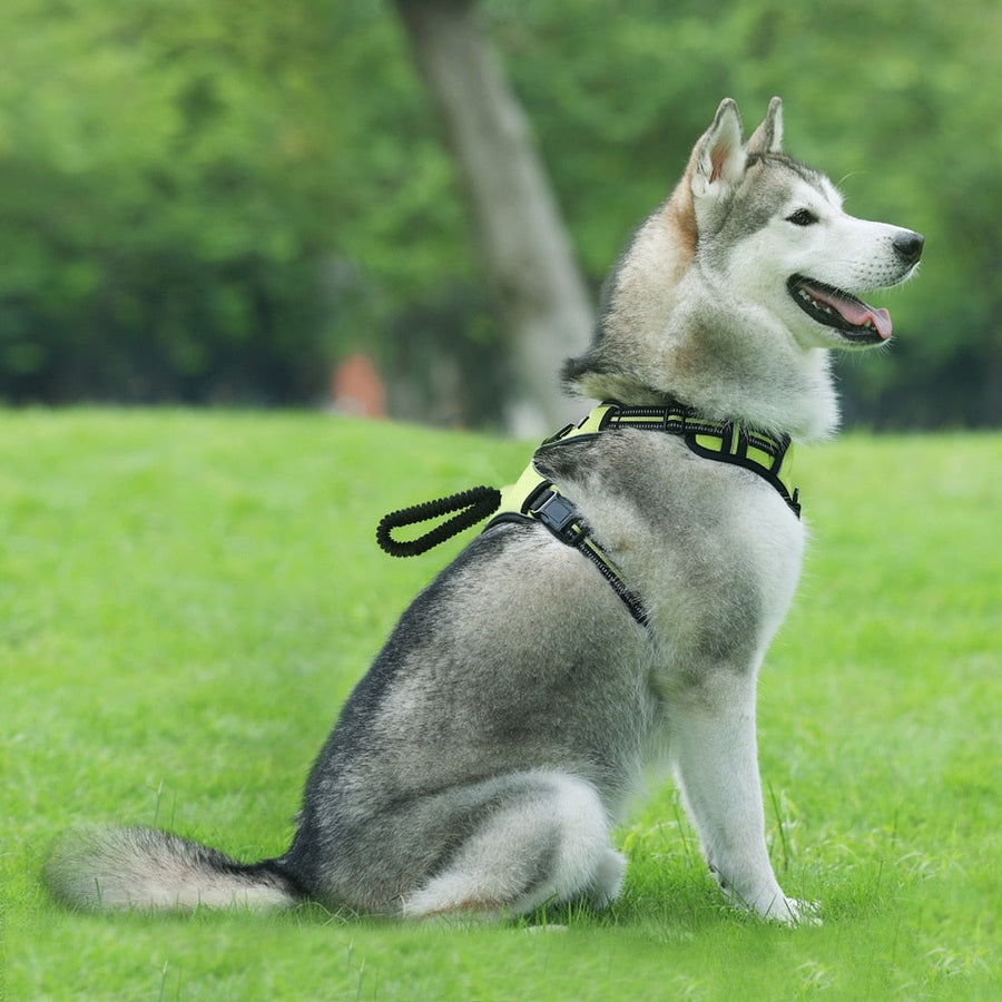 1000D Oxford Cloth Dog Harness